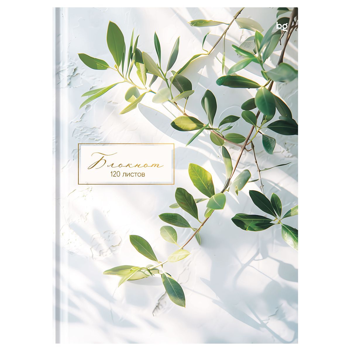 Бизнес-блокнот А4, 120л., BG "Место под солнцем",матовая ламинация, тиснение фольгой РОССИЯ BG БиДжи  ТНВЭД 4820103000